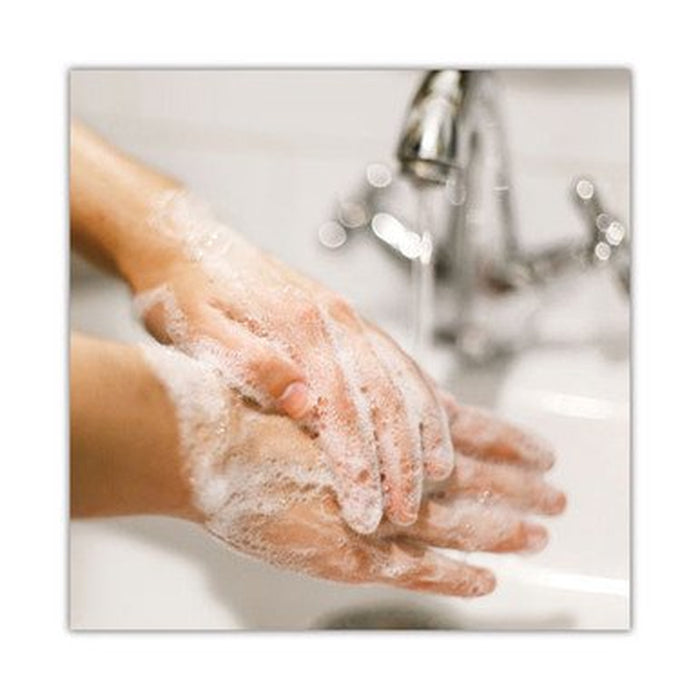 Professional 33827 Basics Mp Free Liquid Hand Soap, Unscented, 15 Oz Refill Bottle, 6/Carton