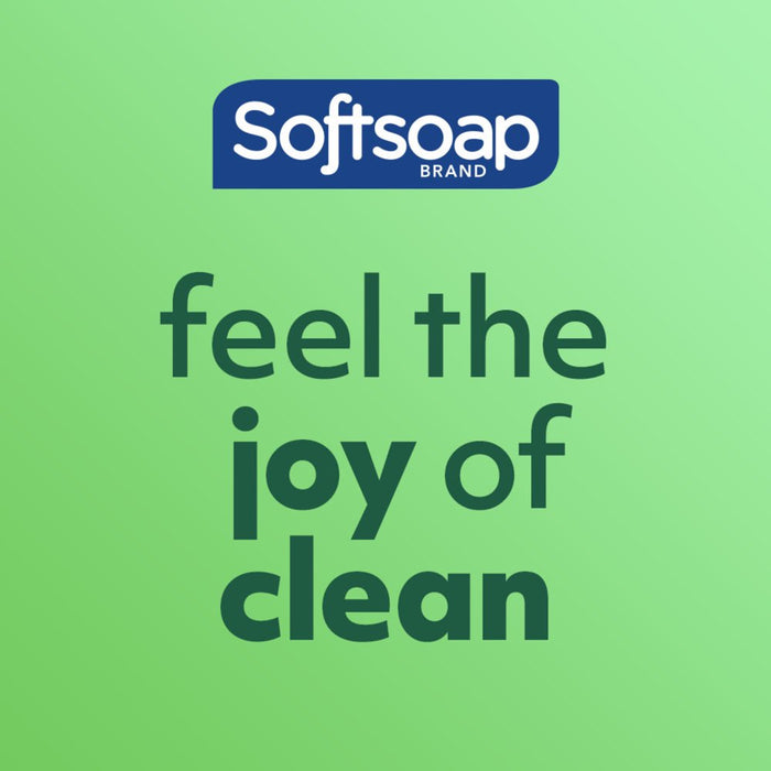 Softsoap Soothing Clean Liquid Hand Soap, Aloe Vera Scented Liquid Hand Soap, 7.5 Oz