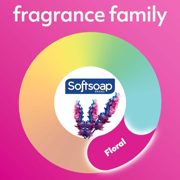 (6 Pack) Softsoap Antibacterial Liquid Hand Soap Pump, Crisp Clean Scent, 11.25 Oz